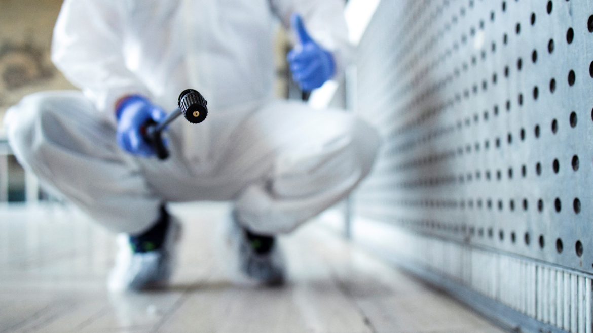 Tips for Effective Pest Control