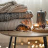 Keeping Your Home Pest-Free This Fall