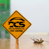What Sets DCS Pest Control Apart from the Rest?