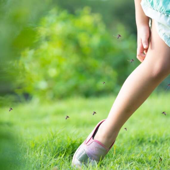 A little girl scratching her leg as she stands in the backyard with mosquitoes flying around her