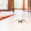 The Hidden Cost of Ignoring “Just One Bug”