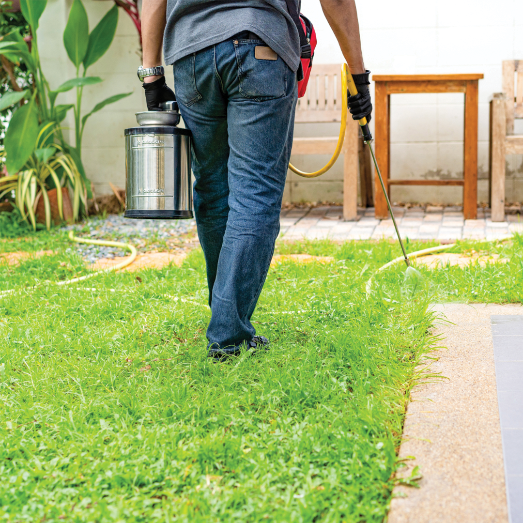 guy on yard