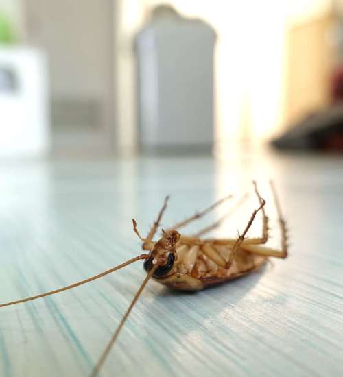 DeAngelo Contracting Services Hazleton, PA